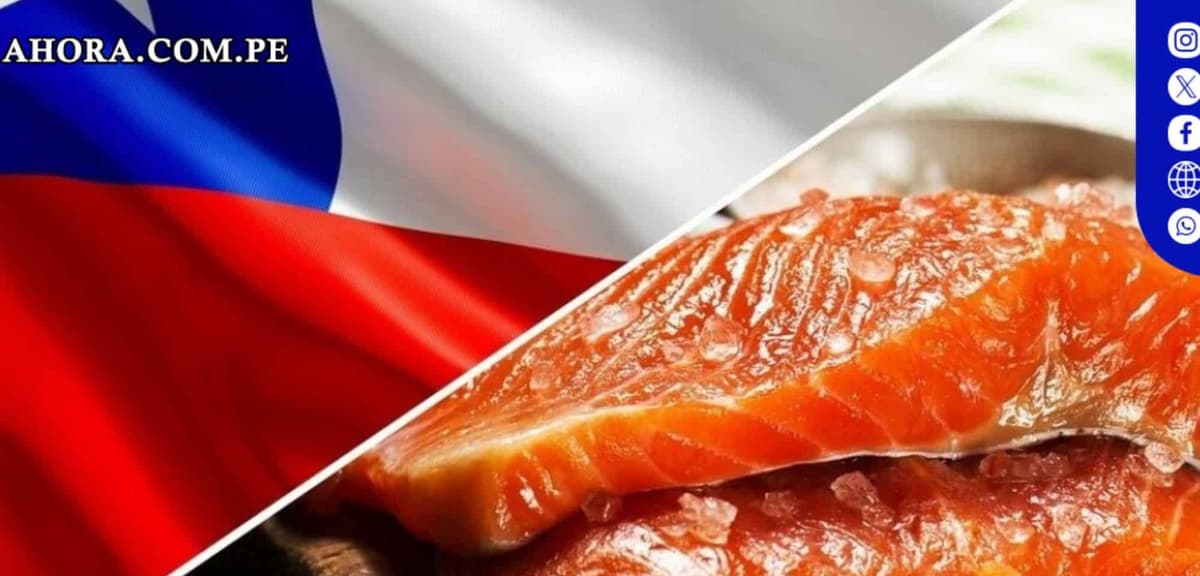 Chile se consolida como líder mundial en exportaciones de salmón, litio y más
