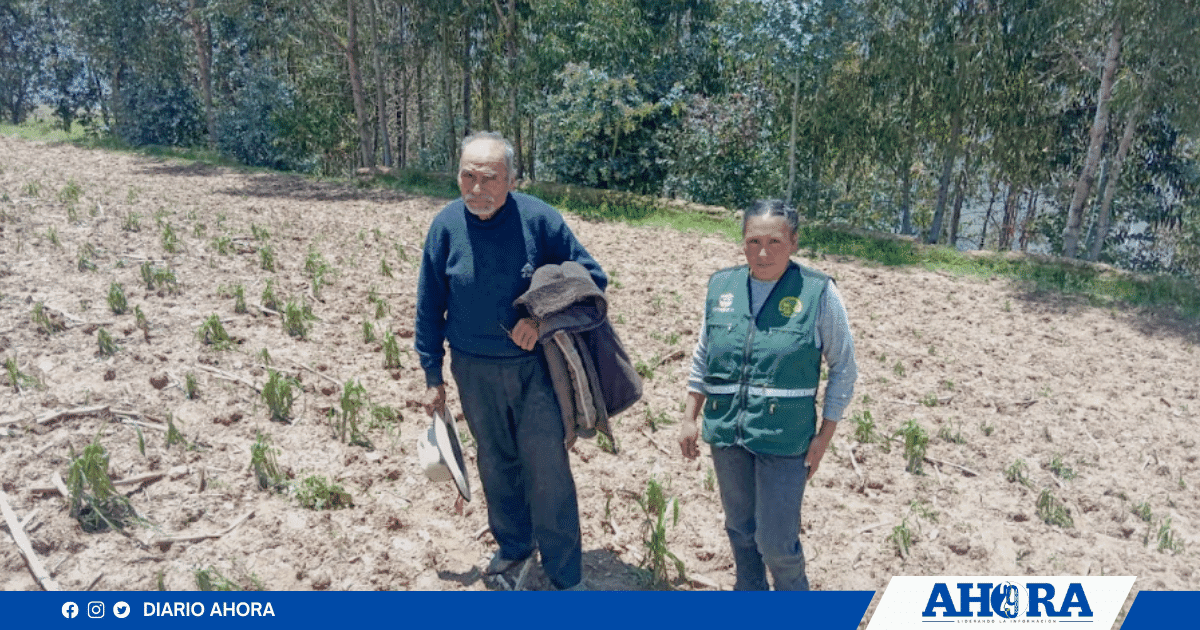 Activarán Seguro Agrícola Catastrófico para productores afectados por lluvias