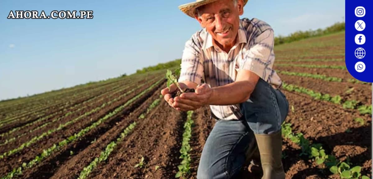Dirección Regional de Agricultura Ica celebrará el Día del Campesino