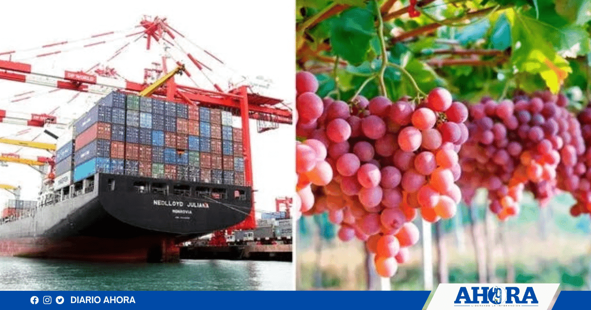 Perú en el Top 5 de exportadores de América Latina en 2023