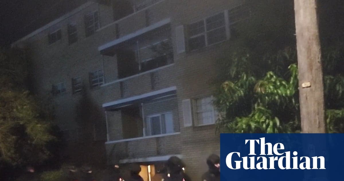 Abogados critican fuerte detención de manifestante pro-Herzog