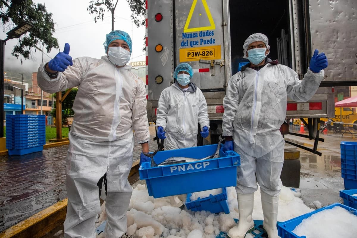 Anuncian venta de pescado económico y feria por Semana Santa