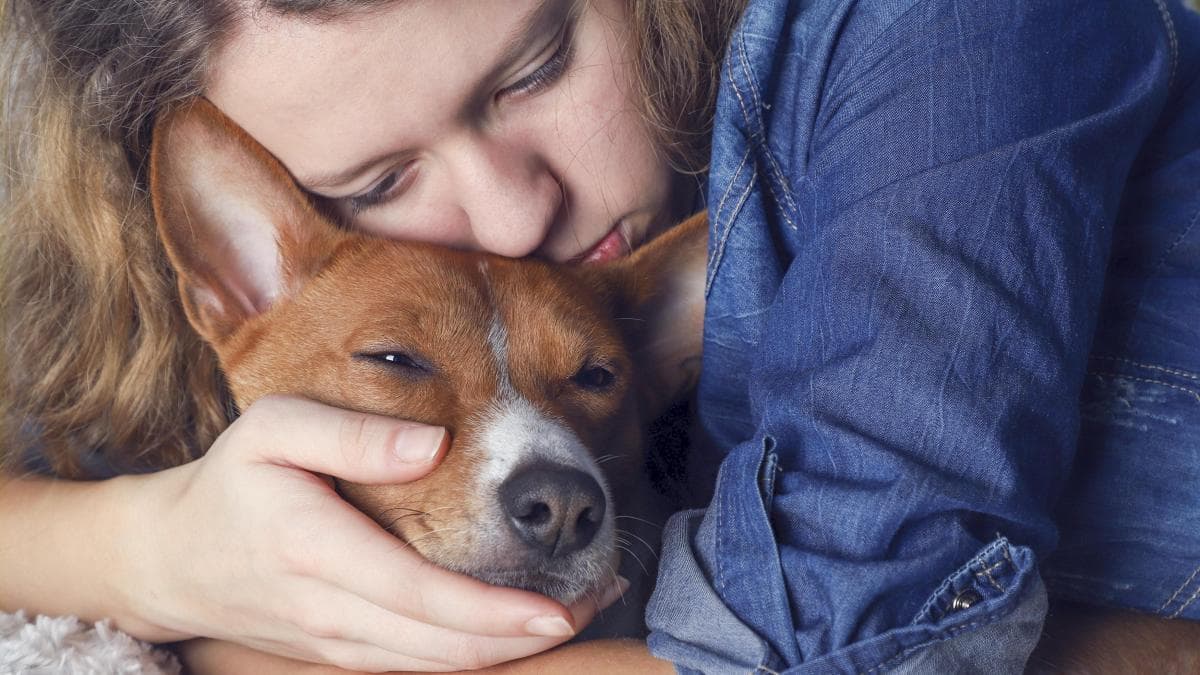 Retrasar decisión alarga sufrimiento: dilema de eutanasia en mascotas