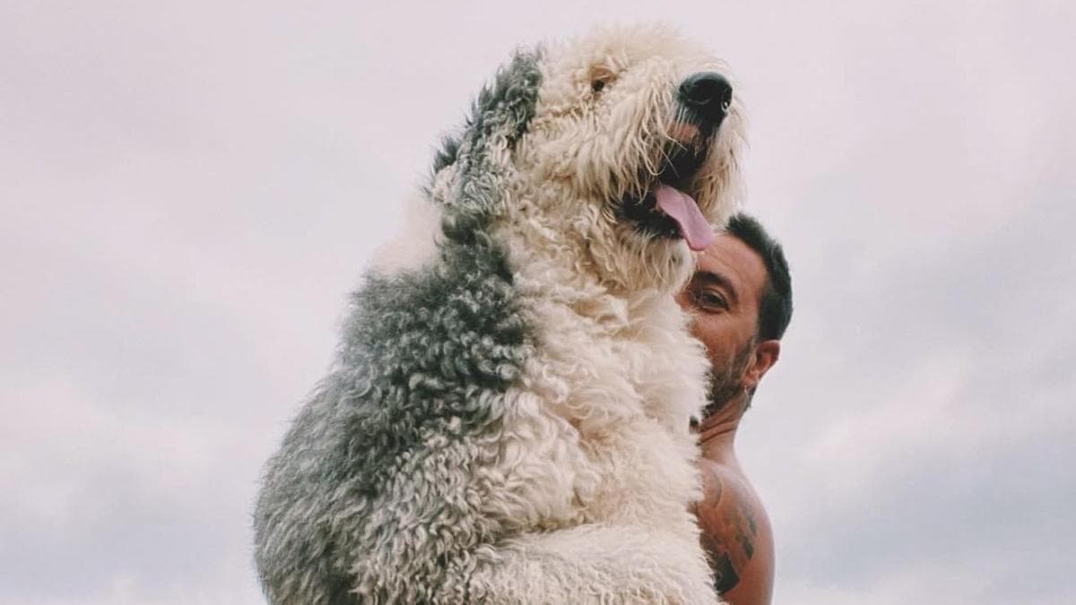 Javi Moreno: Mis perros me recuerdan a mis exparejas