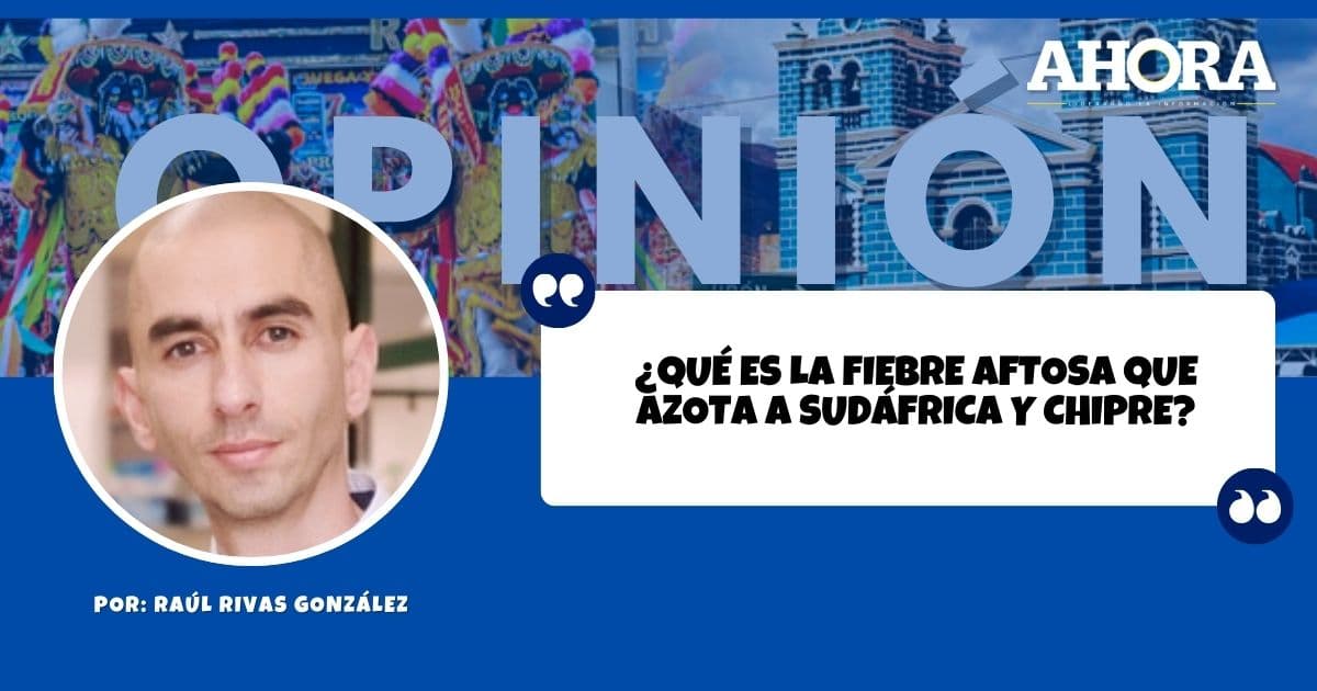 ¿Qué es la fiebre aftosa que azota a Sudáfrica y Chipre?