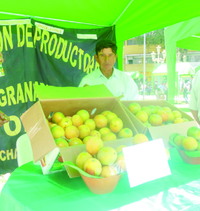 Hoy se realiza XI Festival  Regional de la Granadilla