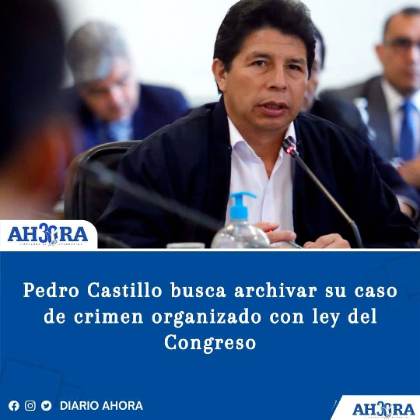 Pedro Castillo busca archivar su caso de crimen organizado con ley del Congreso