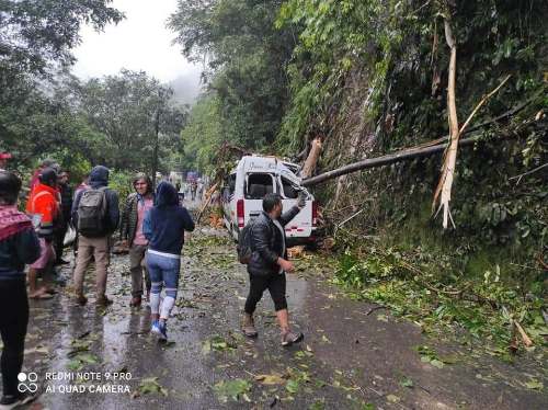 Muere pasajero al caer árbol sobre vehículo donde viajaba