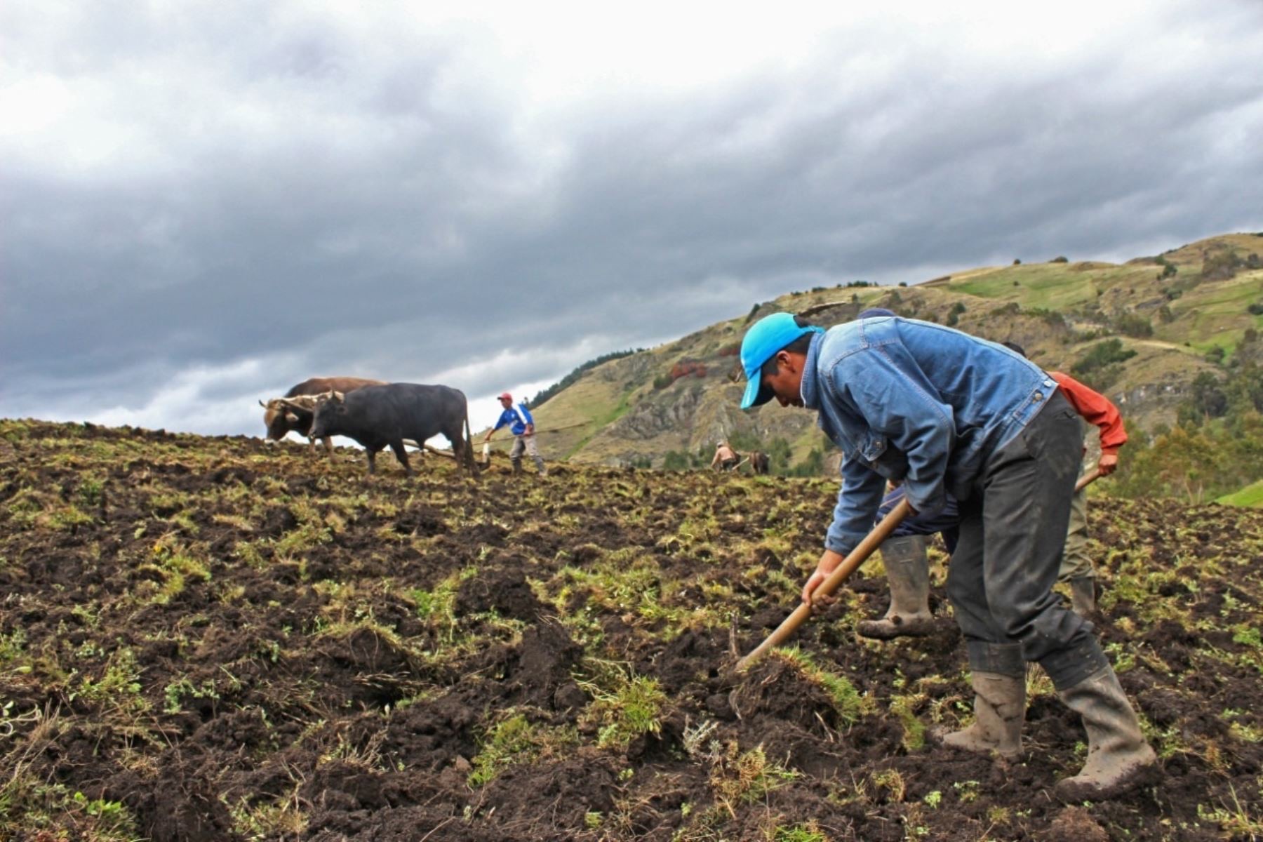 Policía montó “falso” operativo contra agricultor, denuncia abogado