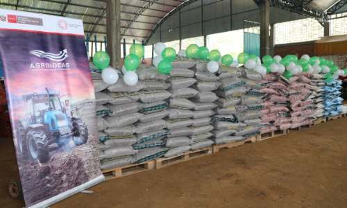Entregan fertilizantes e insumos agrícolas a familias productoras de Pachitea