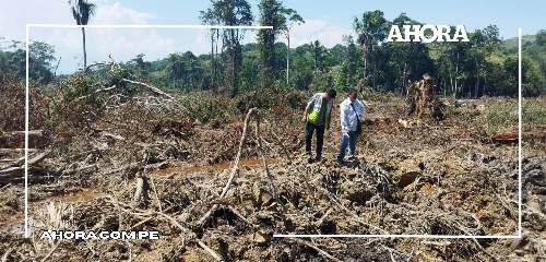 José Crespo y Castillo: Arroceros causan grave daño ambiental en la quebrada Florencia