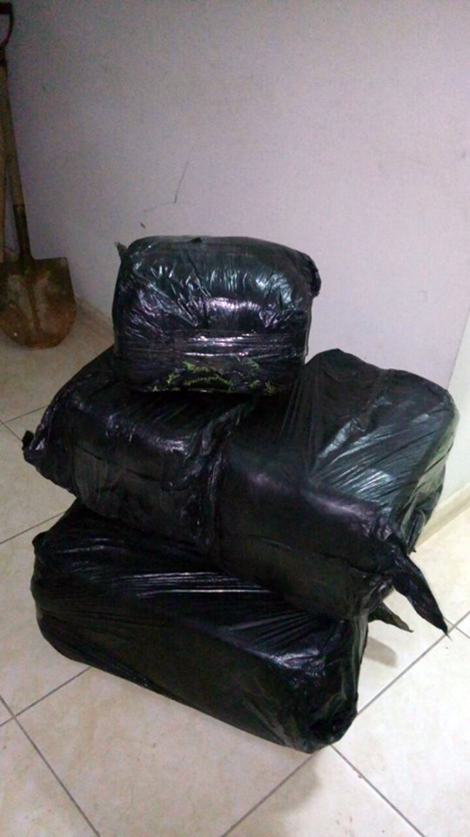 Incautan 76 kilos de hojas de coca