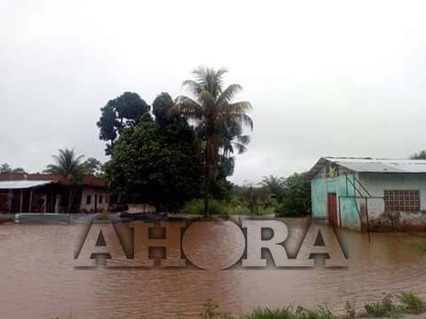 Continúan lluvias e inundaciones en Tingo María