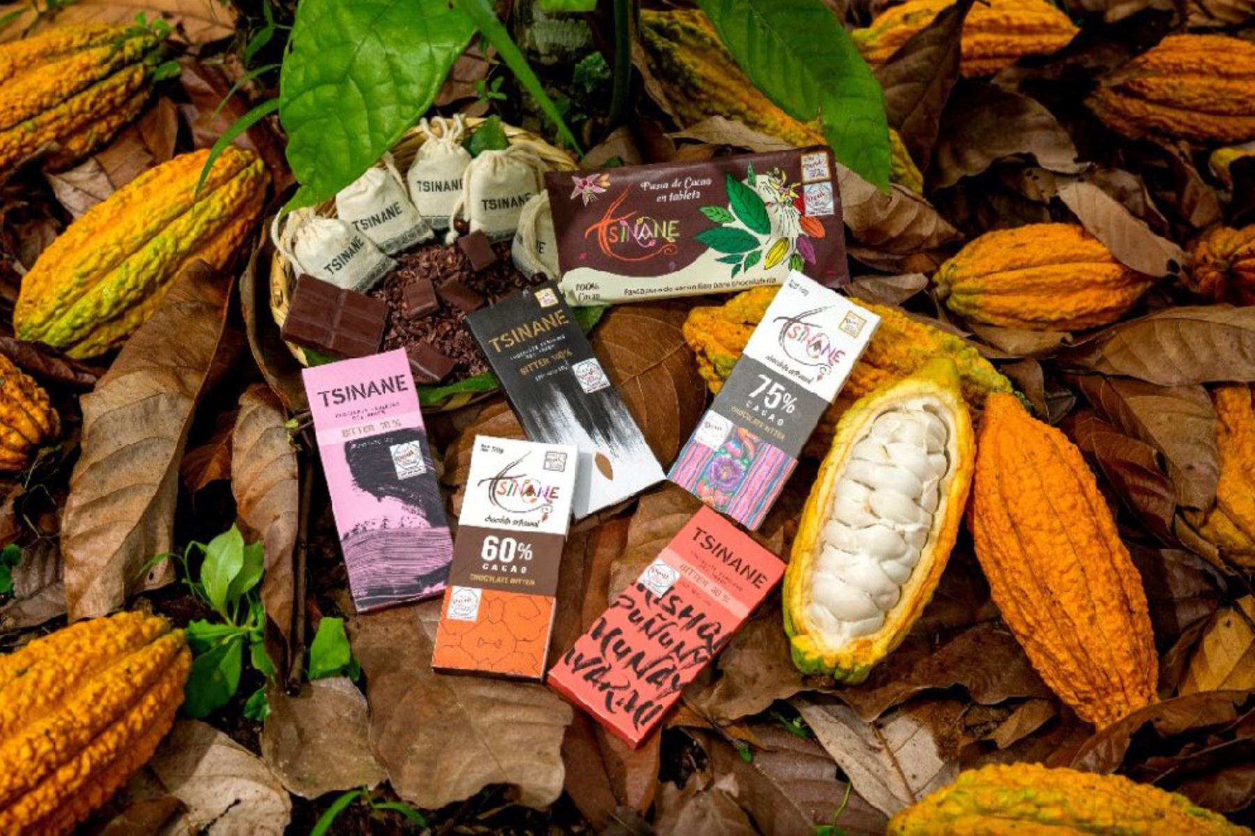 Productores de Huánuco participan en salón virtual de cacao y chocolate
