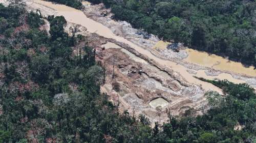 Crimen organizado impulsa minería ilegal y narcotráfico que aceleran colapso ambiental amazónico en 2025