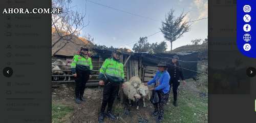 Policía de Huánuco detiene a mujer por receptación de ovinos en La Unión
