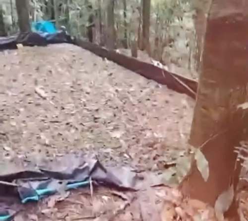 PNP destruye poza de maceración y decantación para elaborar PBC en Nueva Esperanza, Aucayacu