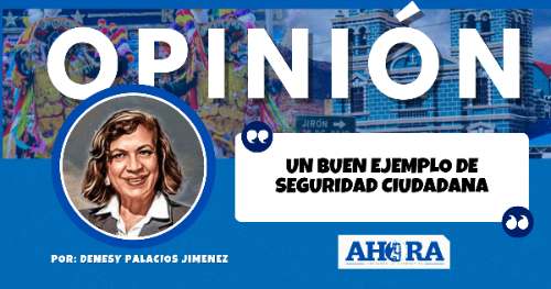 UN BUEN EJEMPLO DE SEGURIDAD CIUDADANA