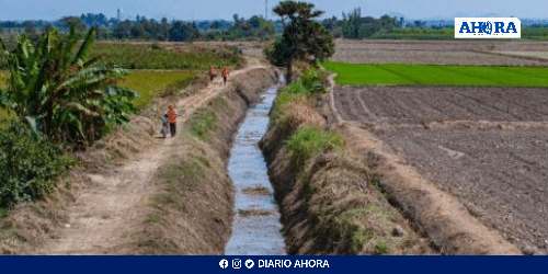 Economía peruana crece 4.47% en julio pese a caída del sector agrícola