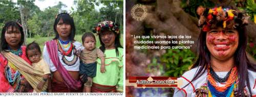 Por qué la derecha sigue apoyando la ivermectina
