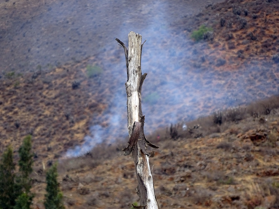 Batalla campal en invasión de terrenos en Vichaycoto