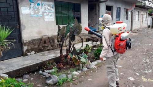 Reportan 33 casos sospechosos de dengue y zika en Tingo María
