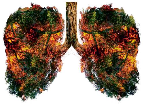 Informe IPCC: La amenaza del cambio climático sobre el bienestar humano y la salud del planeta es inequívoca