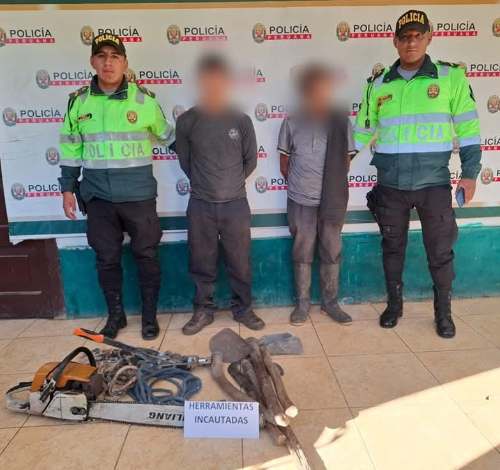 Intervienen a dos personas por presunta tala ilegal en bosque privado de Panao