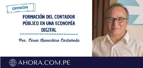 Formación del contador público en una economía digital