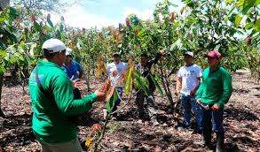 Productores de alto Huallaga protestan contra inasistencia del Ejecutivo