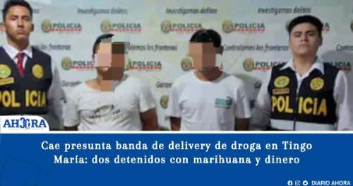 Cae presunta banda de delivery de droga en Tingo María: dos detenidos con marihuana y dinero