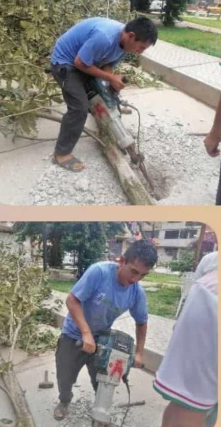 Indignación en Amarilis: “Hacen hueco” pista recién inaugurada para celebrar arbolazo