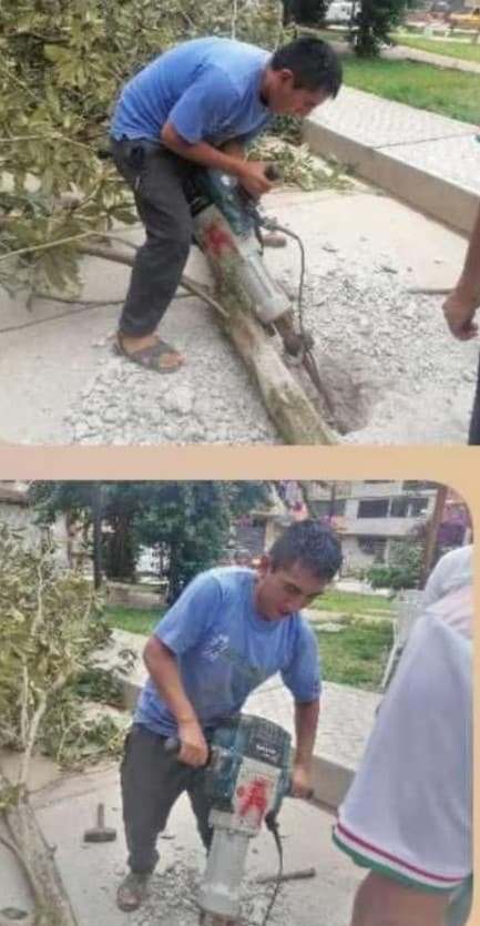 Indignación en Amarilis: “Hacen hueco” pista recién inaugurada para celebrar arbolazo