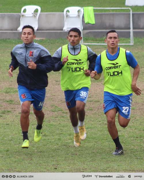 Alianza UDH va completando equipo