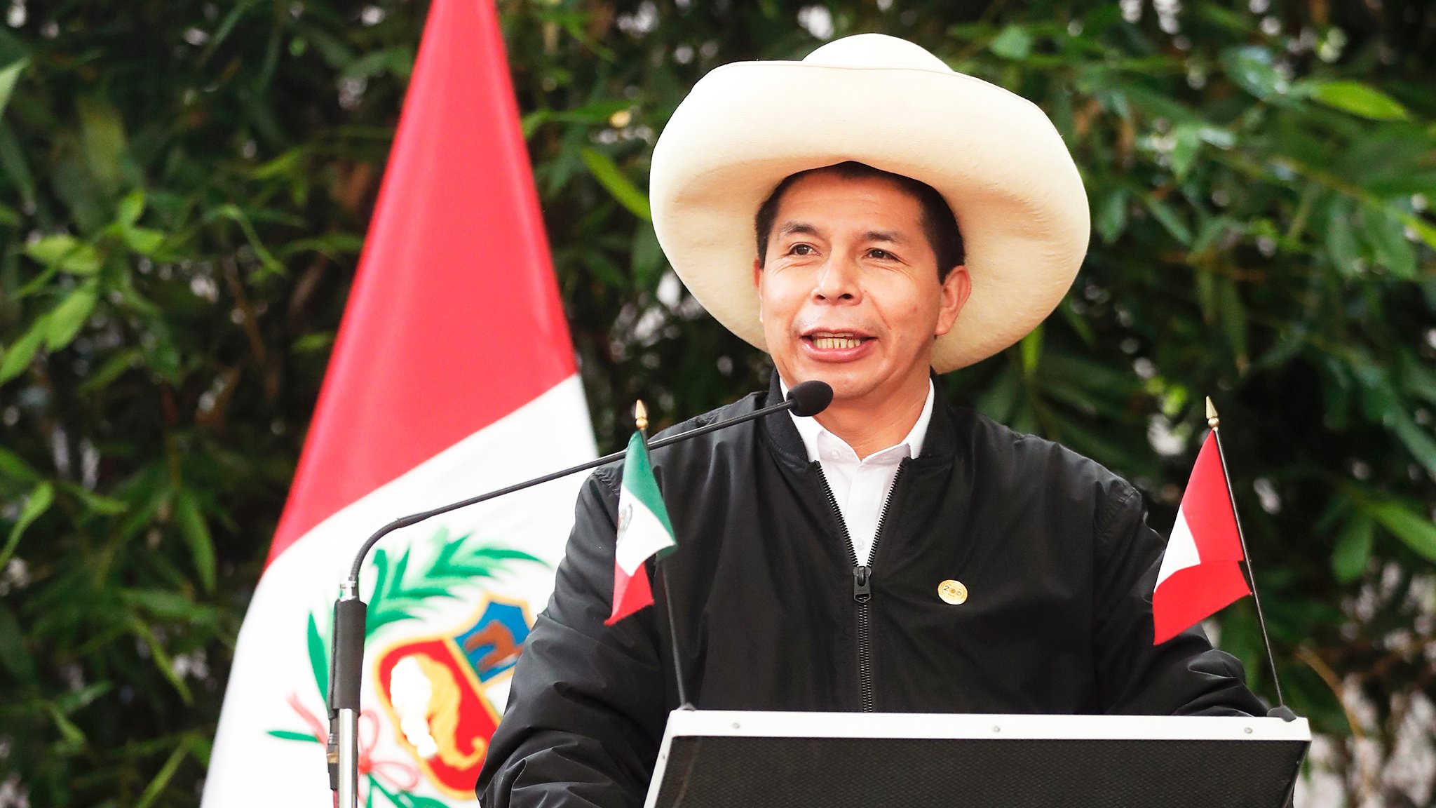 Castillo participará en el Consejo Permanente de la OEA en Washington