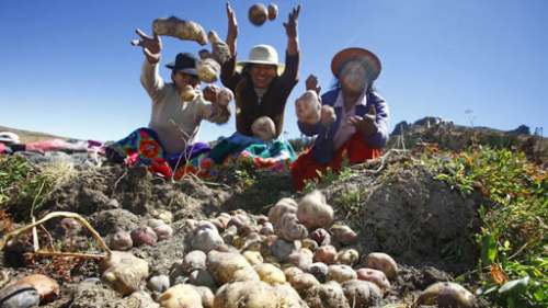 Bono rural de 760 soles beneficiará a más de un millón de familias