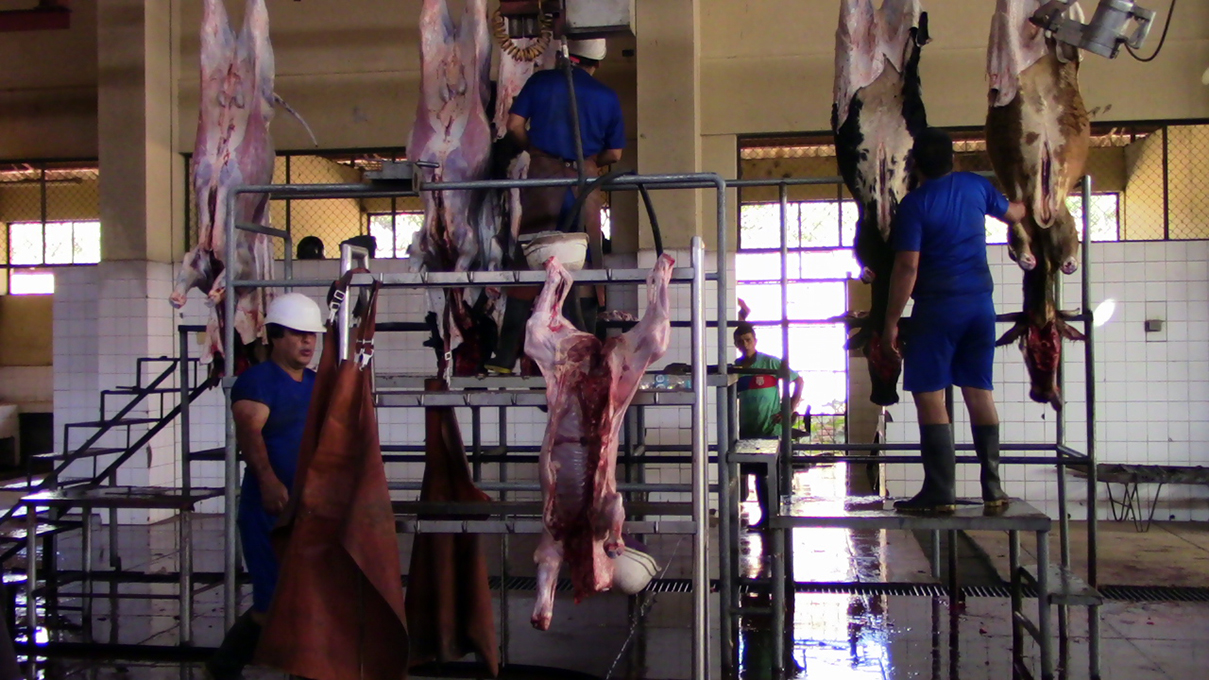 Municipalidad de Huánuco perdió 37 000 soles en camal