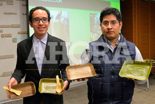 Crean platos biodegradables a base de hojas de plátano