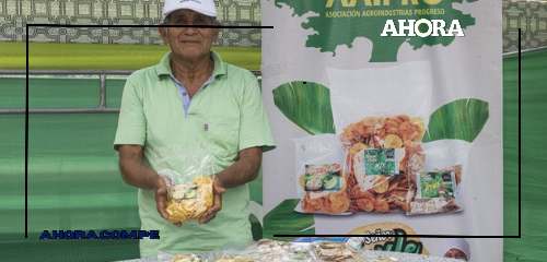 Provincia Padre Abad trae su plátano “bellaco hartón”: “Es el mejor del Perú”