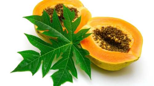 La Papaya y sus múltiples beneficios para la salud