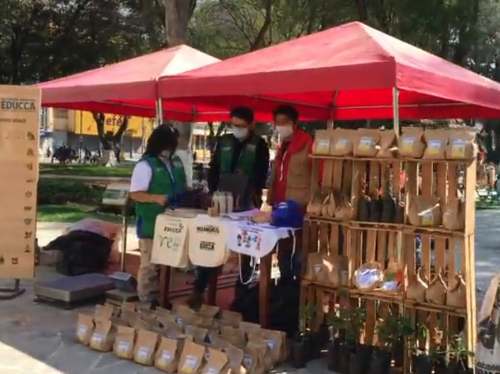 Este viernes 1 de octubre realizarán el “Reciclatón” en Huánuco