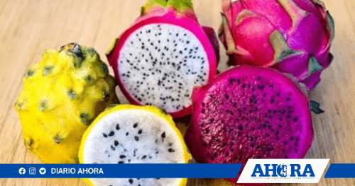 Exportaciones peruanas de pitahaya quintuplican su valor entre enero y agosto de 2024