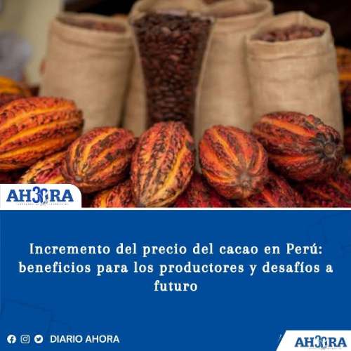 Incremento del precio del cacao en Perú: beneficios para los productores y desafíos a futuro