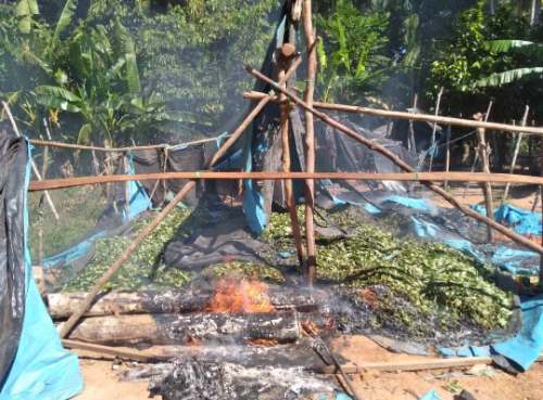 Huánuco: Pueblos indígenas de la selva denuncian expansión del narcotráfico en la zona