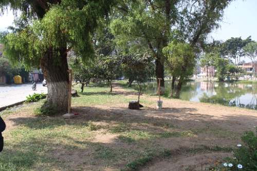 Recuperarán áreas verdes de la Laguna Viña del Río