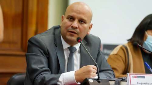 Alejandro Salas: “Denuncia por traición a la patria será usada como argumento ante la OEA”