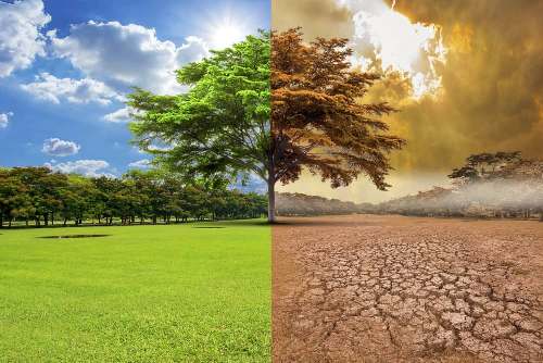 ¿De qué hablamos cuando hablamos de mitigar el cambio climático?