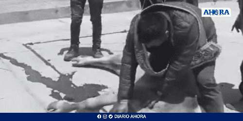 Alcalde de Marías desata indignación al protagonizar violento ritual con un toro