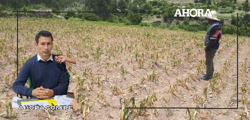 Seguridad alimentaria en riesgo por déficit hídrico en Huánuco