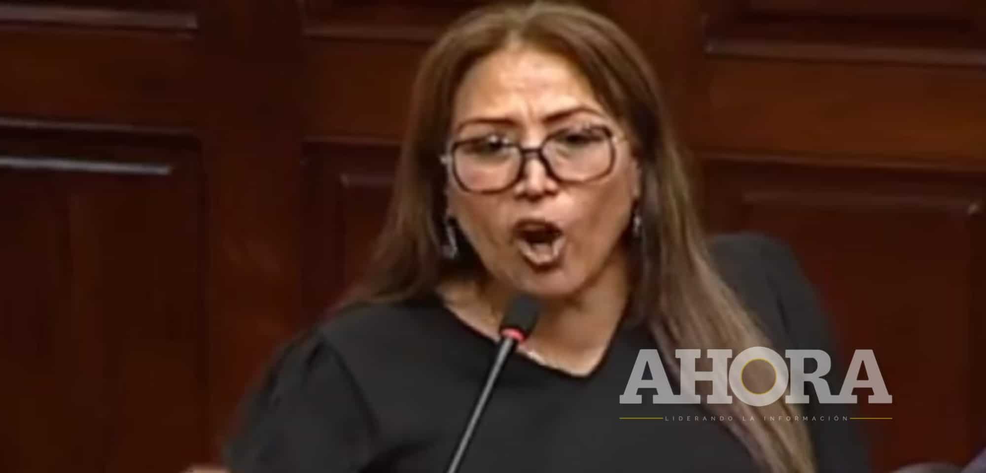 Elizabeth Medina busca ocupar la segunda vicepresidencia del Congreso